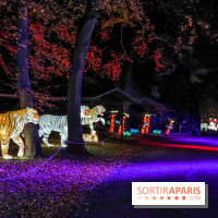 Odyssée Lumineuse, le festival des lumières au Parc Floral - IMG 2425