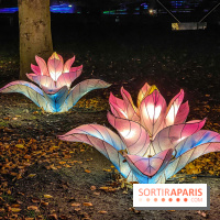 Odyssée Lumineuse, le festival des lumières au Parc Floral - IMG 2427
