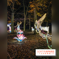 Odyssée Lumineuse, le festival des lumières au Parc Floral - IMG 2428
