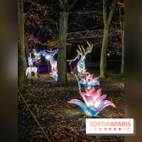 Odyssée Lumineuse, le festival des lumières au Parc Floral