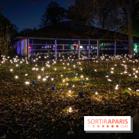Odyssée Lumineuse, le festival des lumières au Parc Floral - IMG 2431