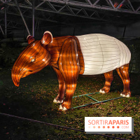 Odyssée Lumineuse, le festival des lumières au Parc Floral