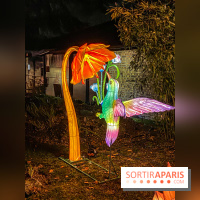Odyssée Lumineuse, le festival des lumières au Parc Floral - IMG 2440