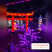 Odyssée Lumineuse, le festival des lumières au Parc Floral
