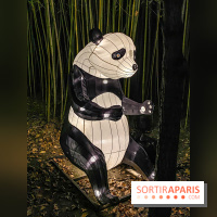 Odyssée Lumineuse, le festival des lumières au Parc Floral - IMG 2448