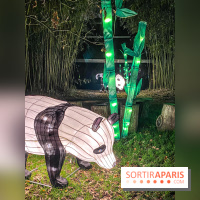 Odyssée Lumineuse, le festival des lumières au Parc Floral