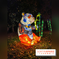 Odyssée Lumineuse, le festival des lumières au Parc Floral
