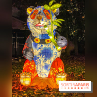 Odyssée Lumineuse, le festival des lumières au Parc Floral - IMG 2452