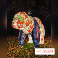 Odyssée Lumineuse, le festival des lumières au Parc Floral - IMG 2454