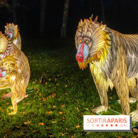 Odyssée Lumineuse, le festival des lumières au Parc Floral