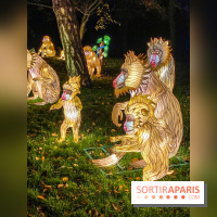 Odyssée Lumineuse, le festival des lumières au Parc Floral