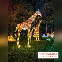Odyssée Lumineuse, le festival des lumières au Parc Floral