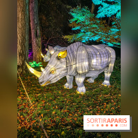 Odyssée Lumineuse, le festival des lumières au Parc Floral - IMG 2463