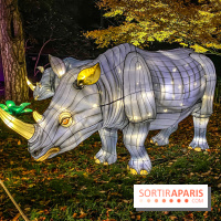 Odyssée Lumineuse, le festival des lumières au Parc Floral - IMG 2464