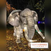 Odyssée Lumineuse, le festival des lumières au Parc Floral