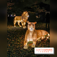 Odyssée Lumineuse, le festival des lumières au Parc Floral - IMG 2472