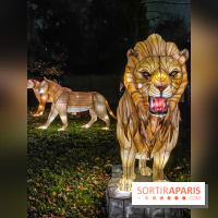 Odyssée Lumineuse, le festival des lumières au Parc Floral