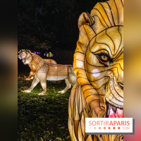 Odyssée Lumineuse, le festival des lumières au Parc Floral - IMG 2474