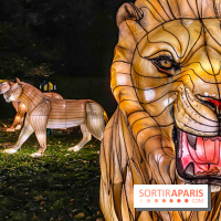 Odyssée Lumineuse, le festival des lumières au Parc Floral