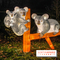 Odyssée Lumineuse, le festival des lumières au Parc Floral