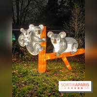 Odyssée Lumineuse, le festival des lumières au Parc Floral - IMG 2477