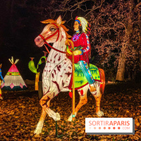 Odyssée Lumineuse, le festival des lumières au Parc Floral - IMG 2482