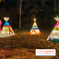 Odyssée Lumineuse, le festival des lumières au Parc Floral - IMG 2483