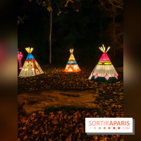 Odyssée Lumineuse, le festival des lumières au Parc Floral - IMG 2484