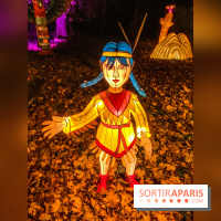 Odyssée Lumineuse, le festival des lumières au Parc Floral - IMG 2485