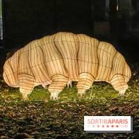 Odyssée Lumineuse, le festival des lumières au Parc Floral