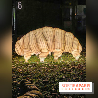 Odyssée Lumineuse, le festival des lumières au Parc Floral