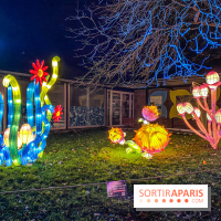 Odyssée Lumineuse, le festival des lumières au Parc Floral - IMG 2490