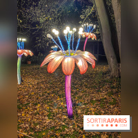 Odyssée Lumineuse, le festival des lumières au Parc Floral