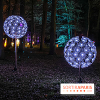 Odyssée Lumineuse, le festival des lumières au Parc Floral - IMG 2498