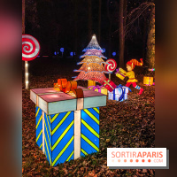 Odyssée Lumineuse, le festival des lumières au Parc Floral