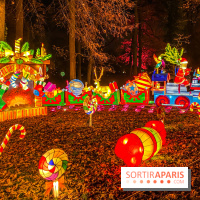 Odyssée Lumineuse, le festival des lumières au Parc Floral - IMG 2511