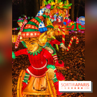 Odyssée Lumineuse, le festival des lumières au Parc Floral - IMG 2514