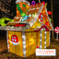 Odyssée Lumineuse, le festival des lumières au Parc Floral - IMG 2517