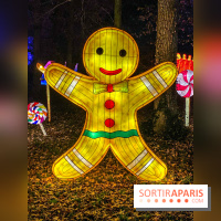 Odyssée Lumineuse, le festival des lumières au Parc Floral - IMG 2518