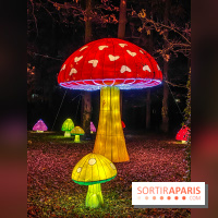 Odyssée Lumineuse, le festival des lumières au Parc Floral