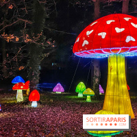 Odyssée Lumineuse, le festival des lumières au Parc Floral - IMG 2520