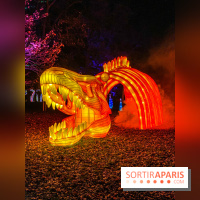 Odyssée Lumineuse, le festival des lumières au Parc Floral - IMG 2526
