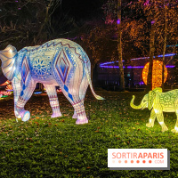 Odyssée Lumineuse, le festival des lumières au Parc Floral - IMG 2533
