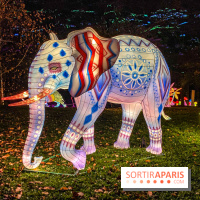 Odyssée Lumineuse, le festival des lumières au Parc Floral