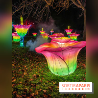 Odyssée Lumineuse, le festival des lumières au Parc Floral