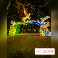 Odyssée Lumineuse, le festival des lumières au Parc Floral - IMG 2553