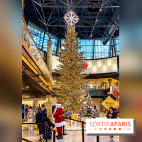 Le Sapin de Noël 2023 de La Défense