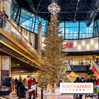 Le Sapin de Noël 2023 de La Défense