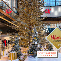 Le Sapin de Noël 2023 de La Défense