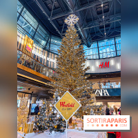 Le Sapin de Noël 2023 de La Défense